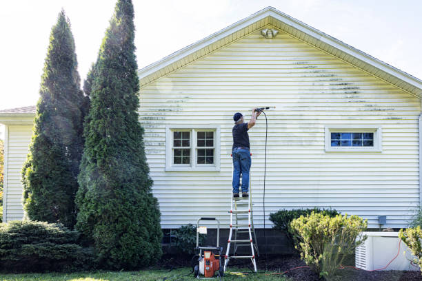 Best Driveway Pressure Washing  in Cochituate, MA